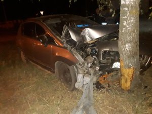 В Лебедянском районе водитель иномарки не справился с управлением и врезался в дерево
